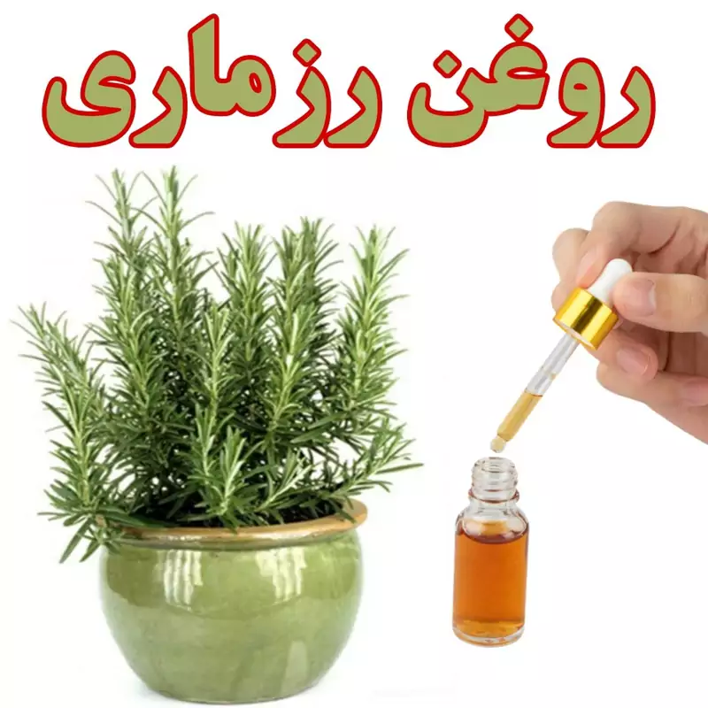 روغن درمانی رزماری 100درصد طبیعی - ارگانیک - پایه زیتون